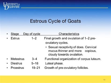 estrous cycle of goat